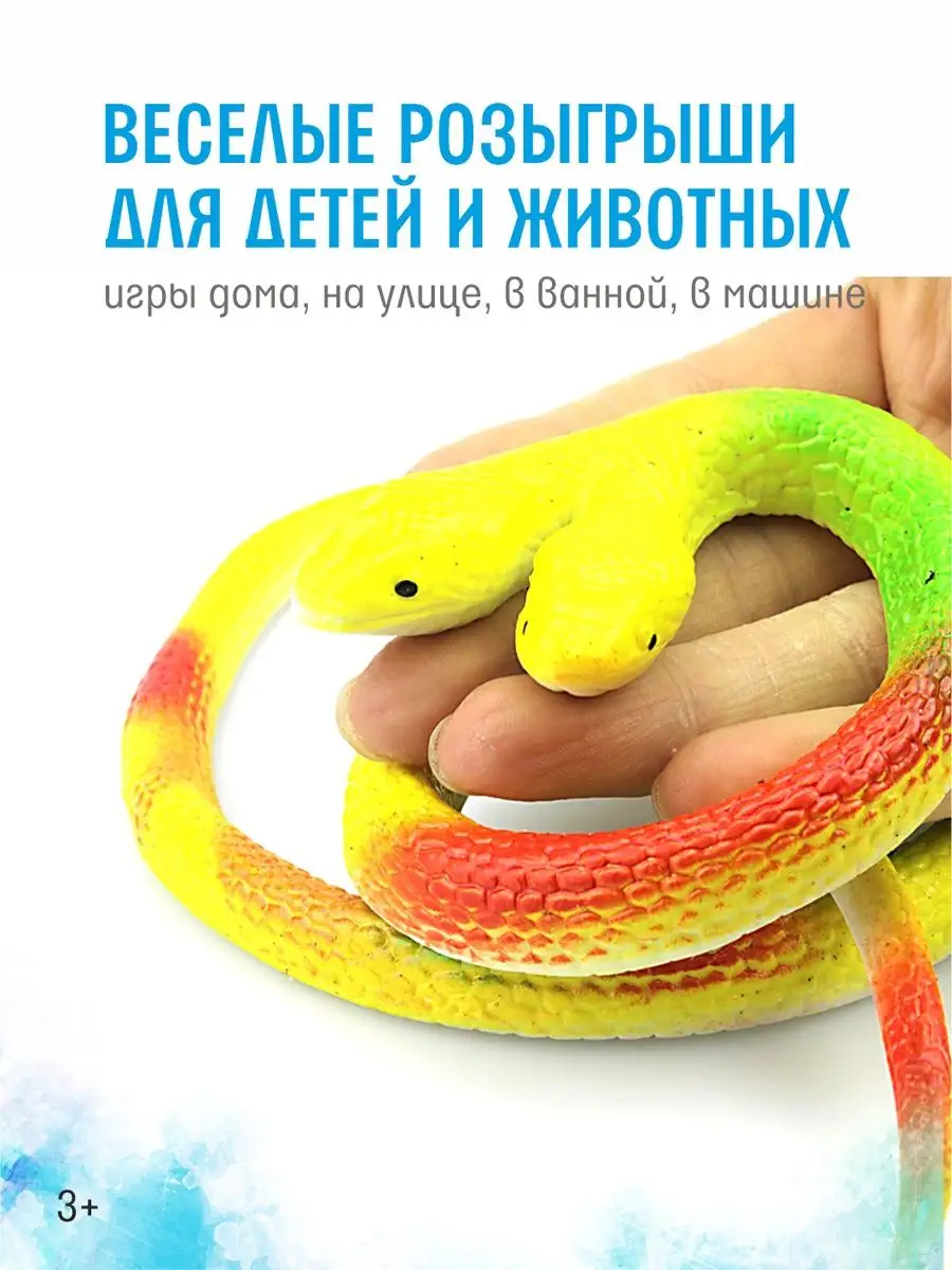 В Одесском зоопарке объявили конкурс ко Всемирному дню змеи