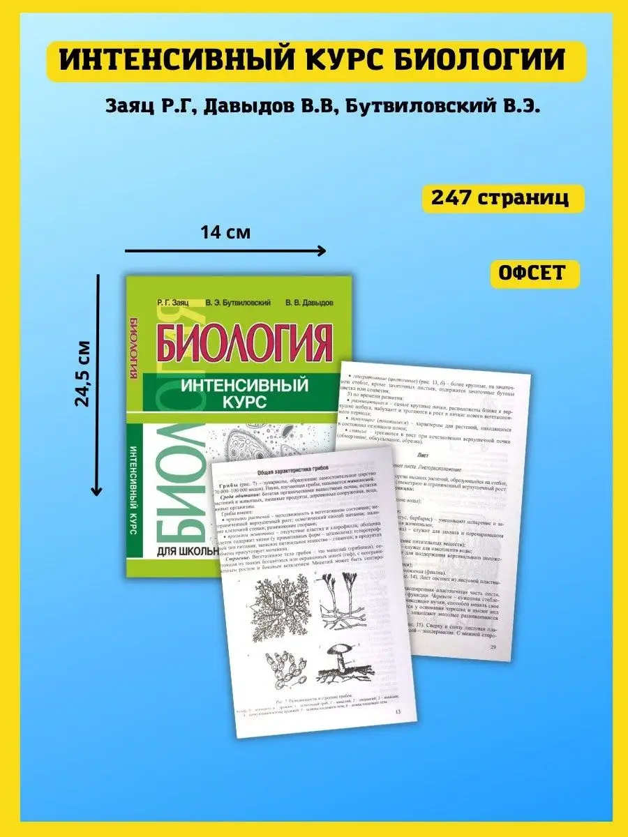 Биология. Интенсивный курс для школьников и абитуриентов Принтбук 111735454  купить за 323 ₽ в интернет-магазине Wildberries