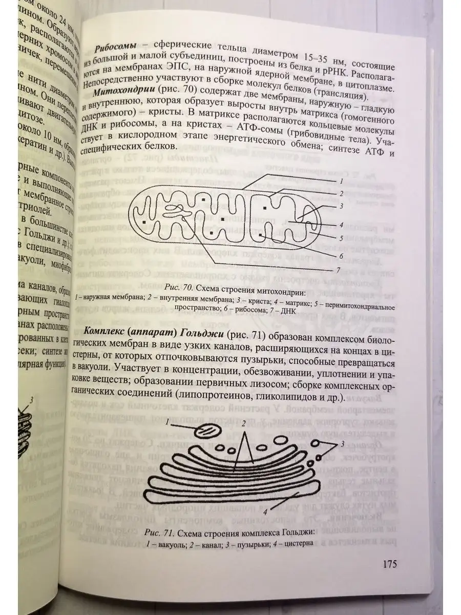 Биология. Интенсивный курс для школьников и абитуриентов Принтбук 111735454  купить за 431 ₽ в интернет-магазине Wildberries