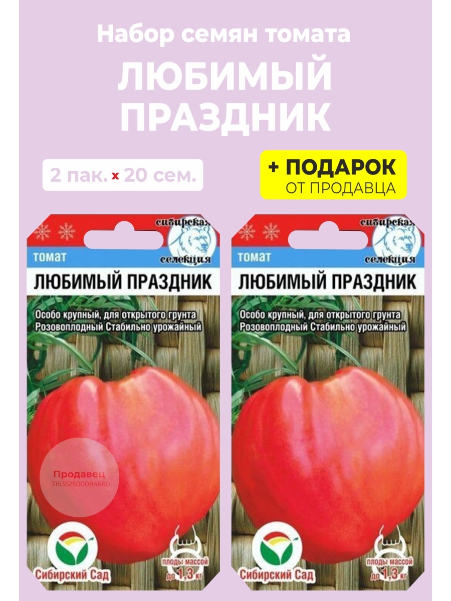 Сорт томата любимый праздник отзывы. Томат безразмерный. Помидор стал мягким. Томат любимой женщине. Томат Настенька отзывы.