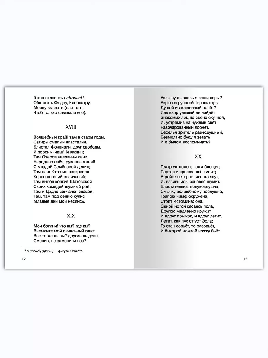 Пушкин А.С. Евгений Онегин. Внеклассное чтение Омега-Пресс 112080153 купить  за 388 ₽ в интернет-магазине Wildberries