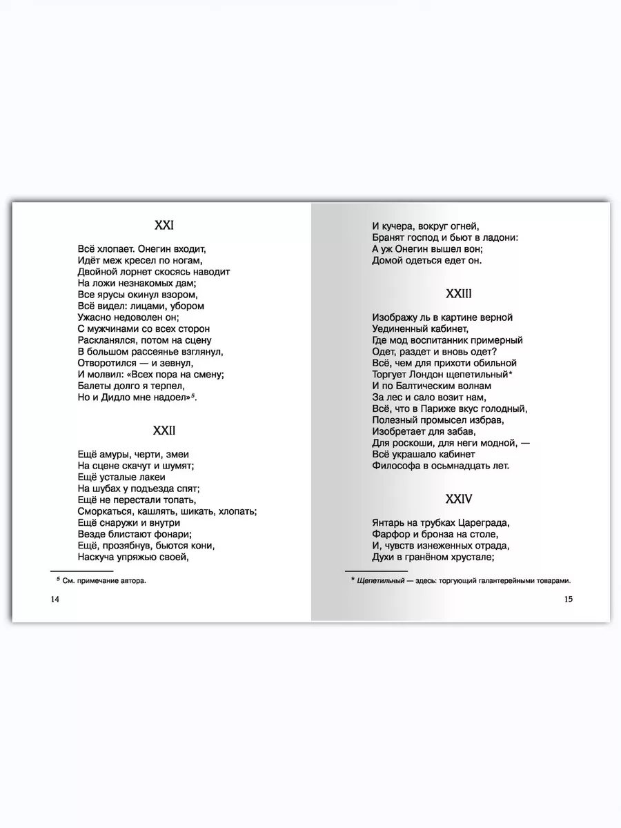 Пушкин А.С. Евгений Онегин. Внеклассное чтение Омега-Пресс 112080153 купить  за 388 ₽ в интернет-магазине Wildberries