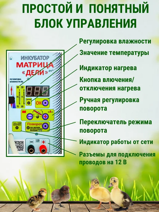 Подворье Инкубатор Матрица Дели на 72 яйца, голубой, фото 5