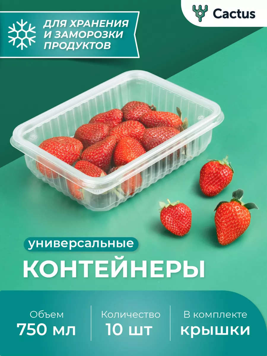 Одноразовые контейнеры пластиковые с крышкой 750 мл, 10 шт