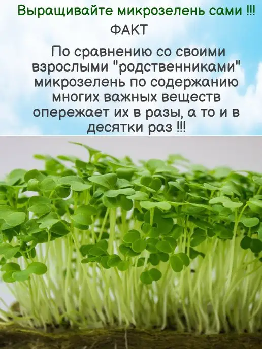 GreenSpace Микрозелень набор для выращивания, 15 шт, фото 4