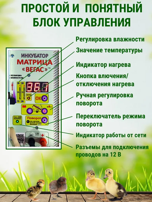 Подворье Инкубатор Блиц Матрица Вегас на 90 яиц, голубой, фото 4