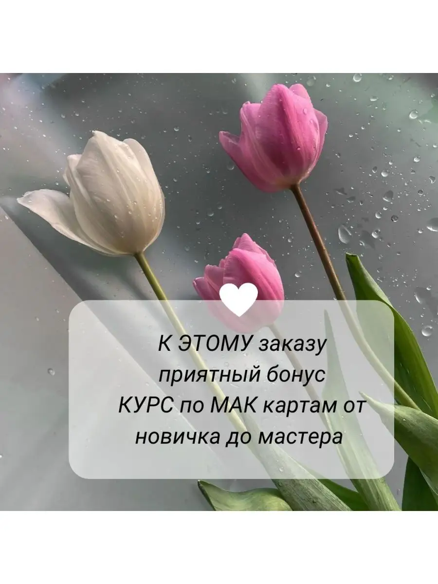 Метафорические карты, МАК карты SAGA / TANDOO / ECCO MAC CARDS 112646203  купить в интернет-магазине Wildberries