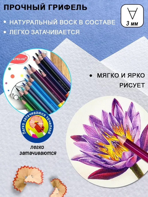 ACMELIAE Цветные карандаши двусторонние 12шт 24 цв мягкие, 12 шт, фото 2