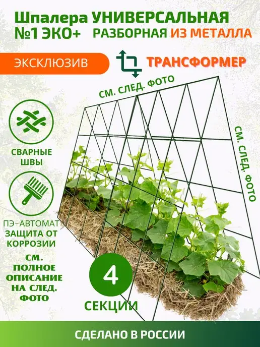 Как я подвязываю томаты в открытом грунте — Сияние