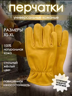 Перчатки GRAB Gloves 113964318 купить за 770 ₽ в интернет-магазине Wildberries