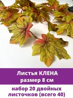 Кленовые листья и ветки, осенний декор Творите С НЕЖНОСТЬЮ 113965015 купить за 316 ₽ в интернет-магазине Wildberries