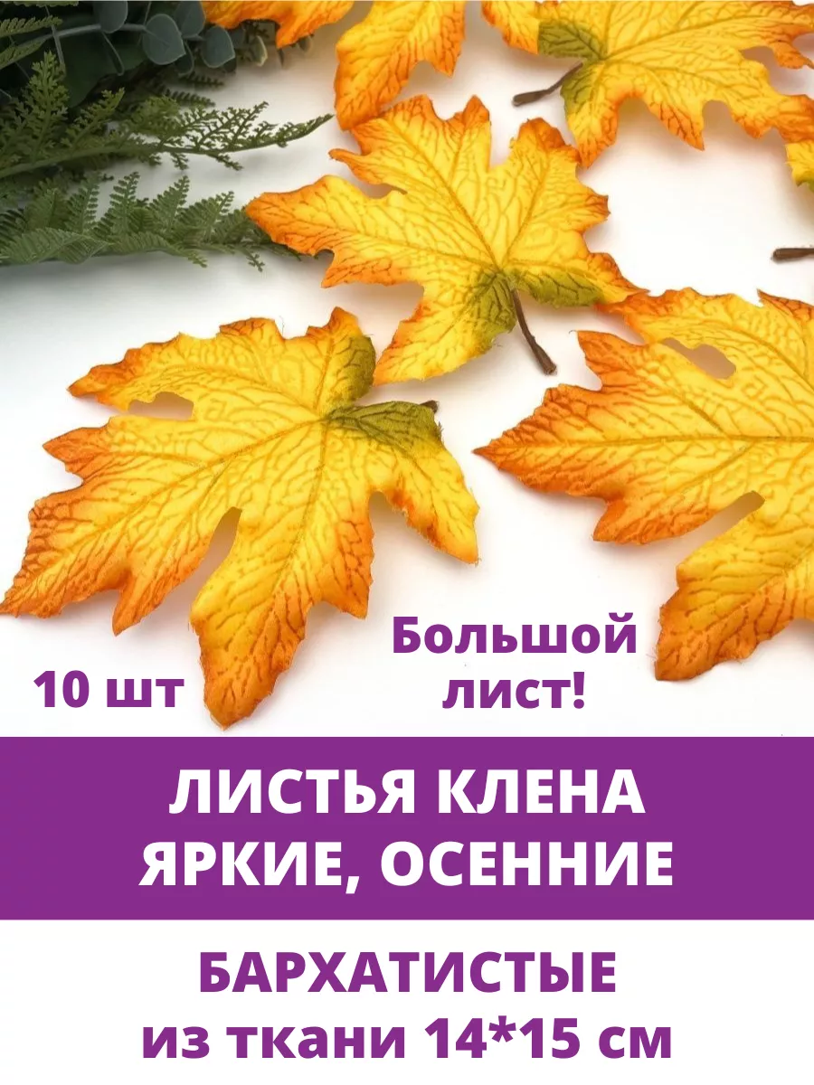 Осень в Москве: куда сходить и что посмотреть в сентябре, октябре, ноябре – «Незабываемая Москва»