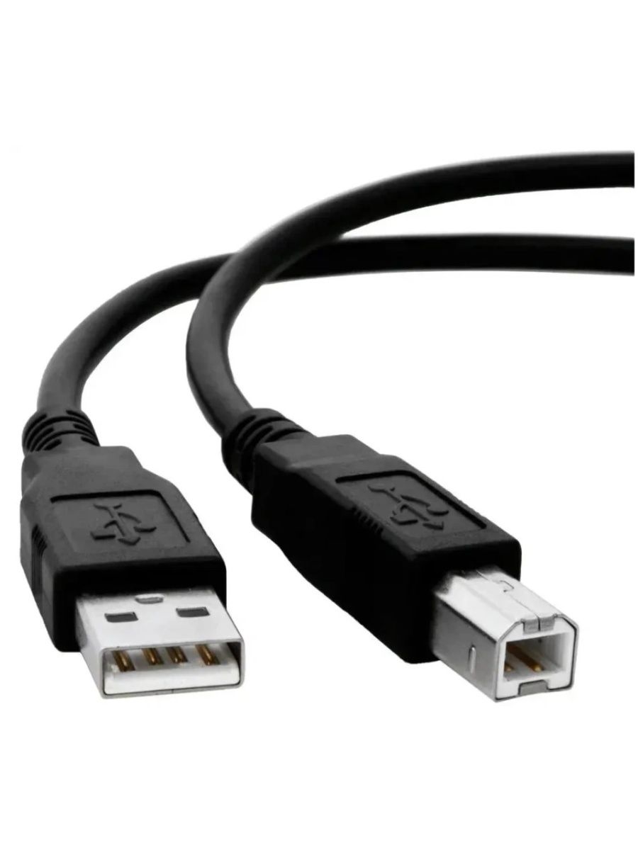 Покажи usb кабель. USB кабель для принтера. Интерфейс USB для принтера. USB Printer Cable. USB Type b.