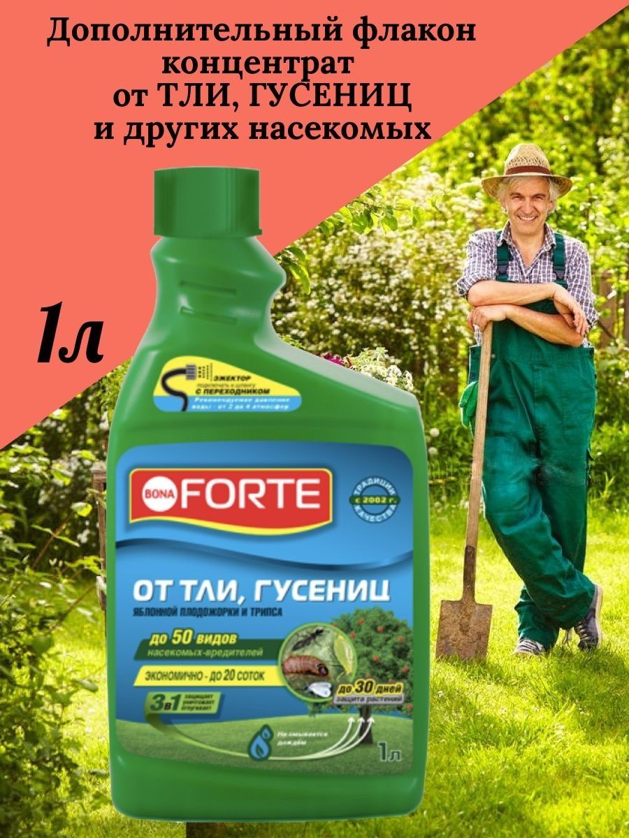 Бона форте от тли и гусениц. Bona Forte от тли. Эжектор бона форте от тли, гусениц и др. 1л. Бона форте от муравьев. Forte от тли и гусениц инструкция.