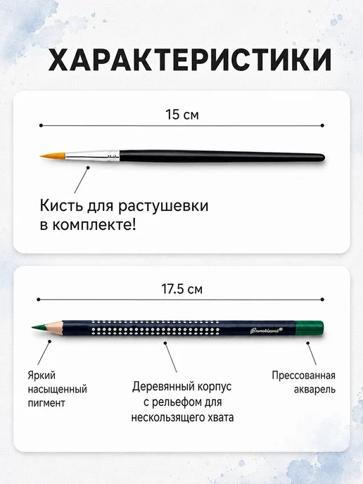 ArtQ Карандаши цветные акварельные для школы набор 24 цвета, 24 цв., фото 5