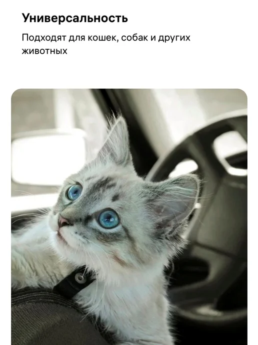 Premium cats Пеленки для собак одноразовые гелевые 30х45 25 шт, 25 шт, фото 8