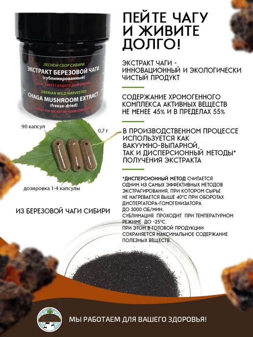 ЧАГА ФУД CHAGAFOOD Экстракт чаги березовой сублимированный БИО, вариант, фото 2