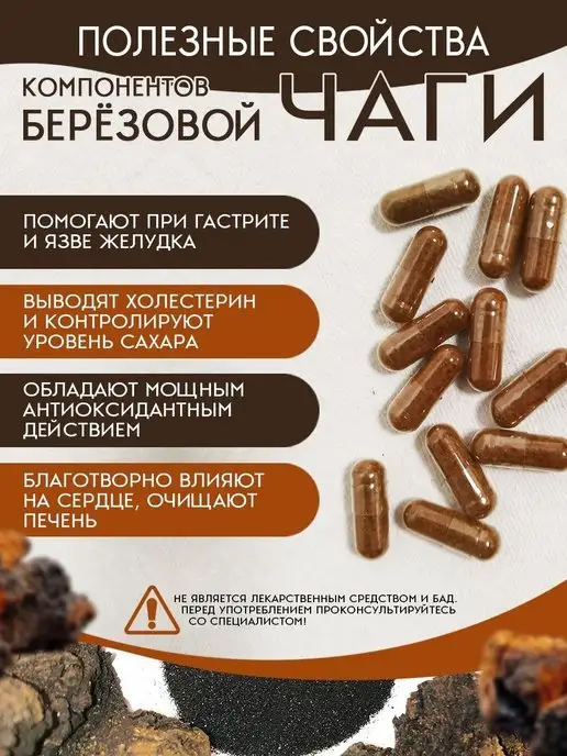 ЧАГА ФУД CHAGAFOOD Экстракт чаги березовой сублимированный БИО, вариант, фото 3