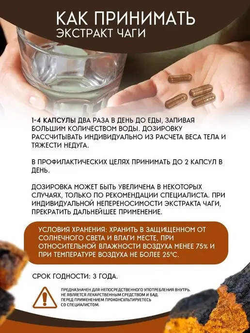 ЧАГА ФУД CHAGAFOOD Экстракт чаги березовой сублимированный БИО, вариант, фото 4