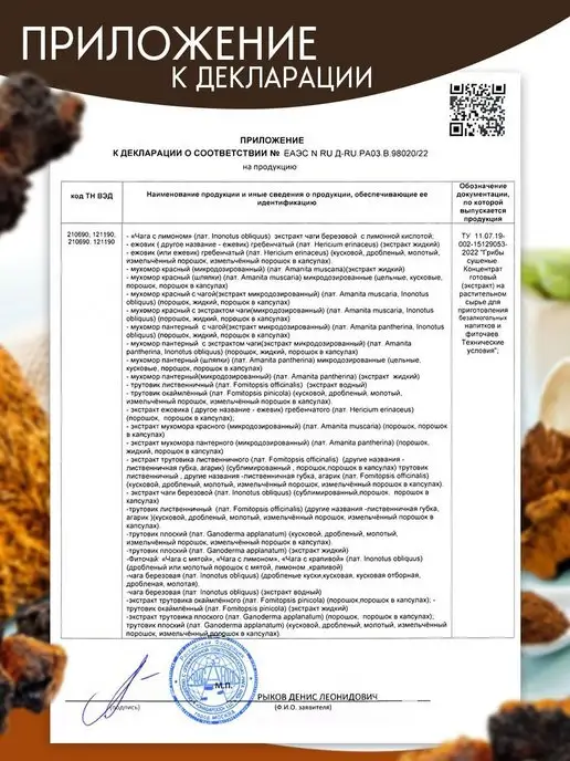 ЧАГА ФУД CHAGAFOOD Экстракт чаги березовой сублимированный БИО, вариант, фото 7