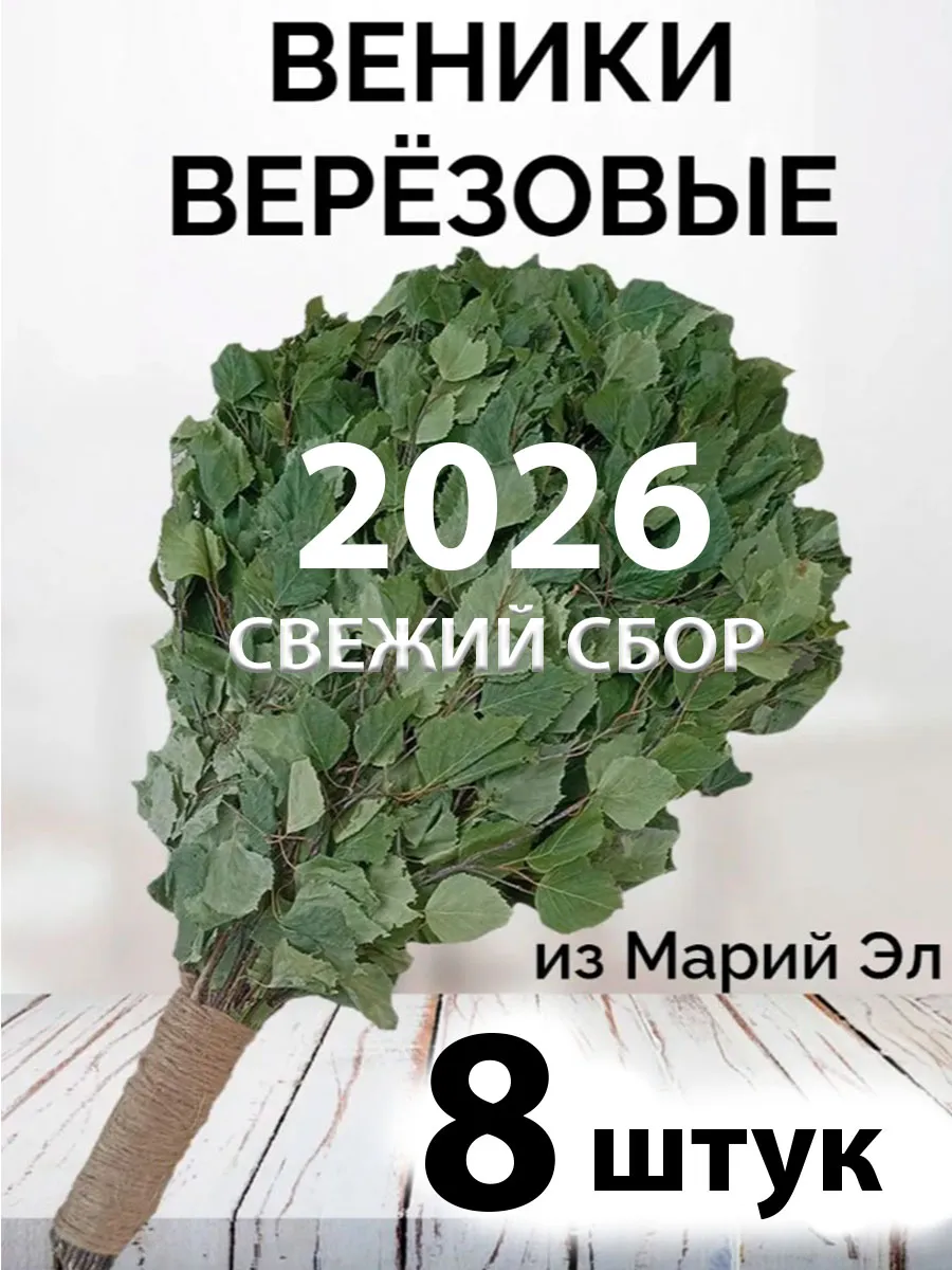 Веник для бани березовые 8 штук сбор 2026