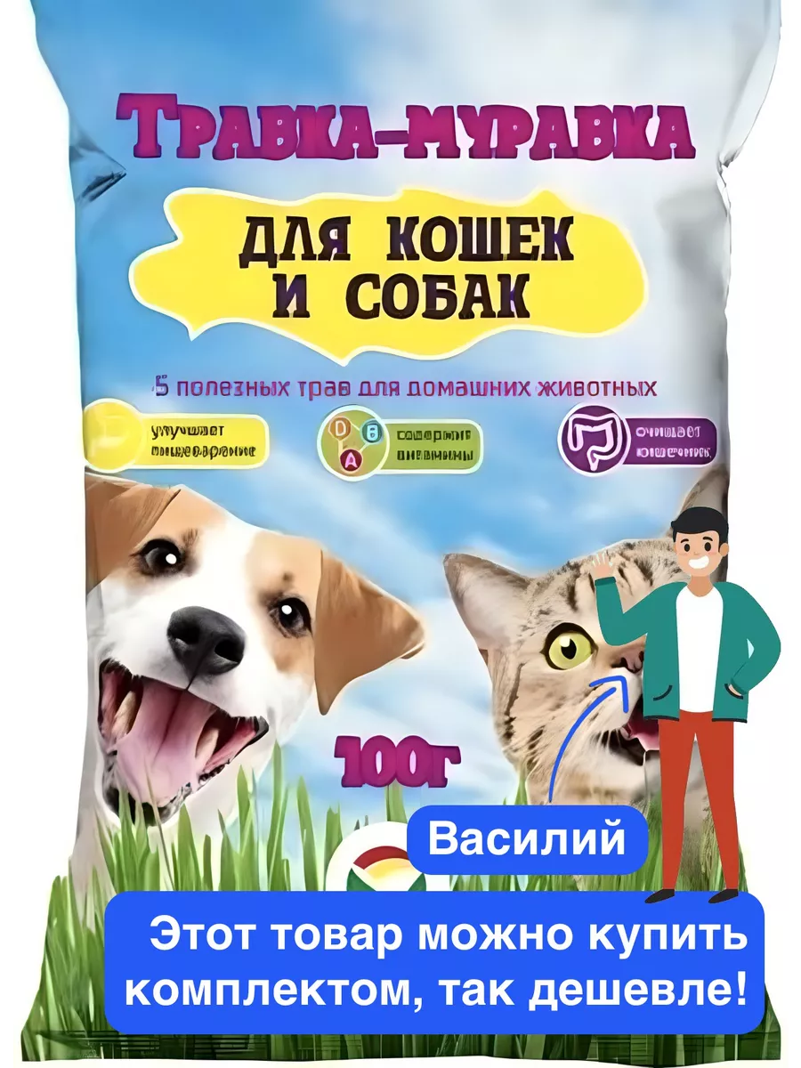 Трава для кошек и собак