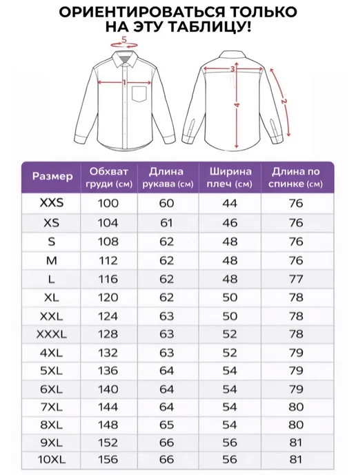 AMTER Рубашка с длинным рукавом классическая синяя, синий, фото 5