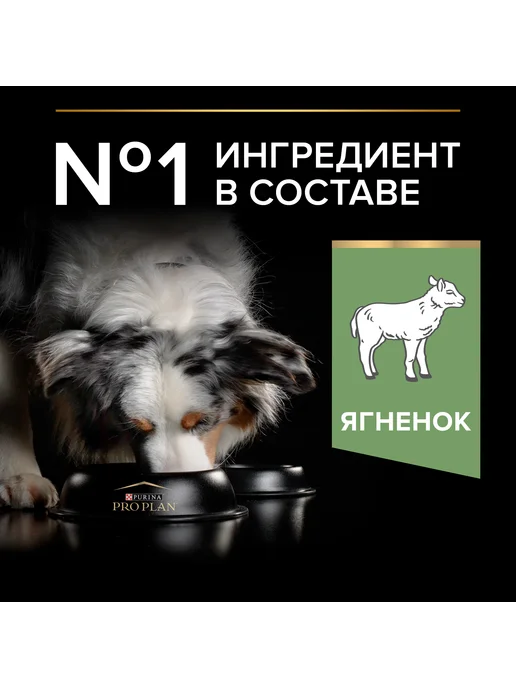 Сухой корм PRO PLAN Жкт для собак, чувствительное пищеварение, ягненок, 14 кг, фото 8