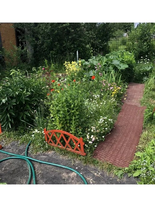 Руккола Садовая дорожка, Тропинка между грядок, серый, фото 5