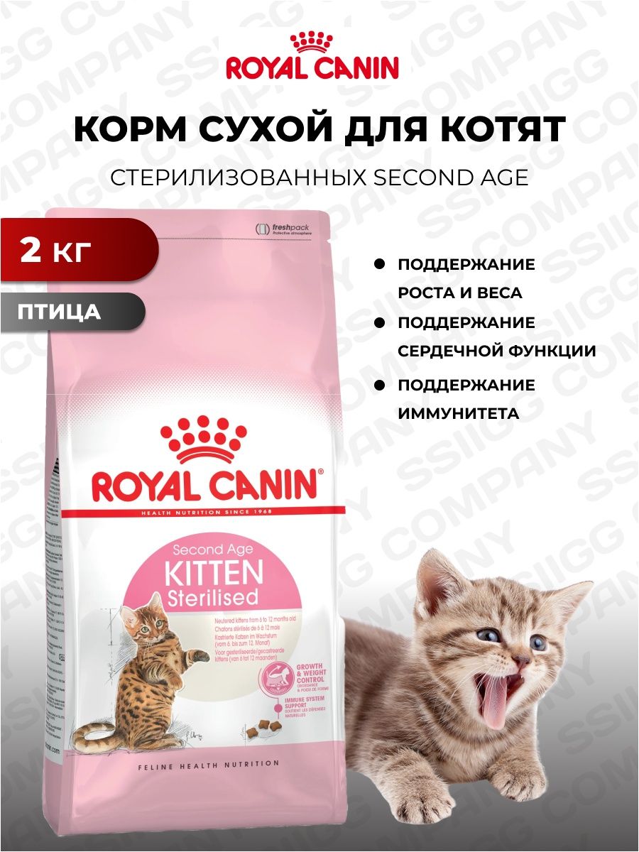 Royal canin sterilised ageing 12 стерилизованных. Royal Canin Kitten Sterilised. Royal Canin Kitten second age. Кисса корм для кошек. My Pets корм для кошек.