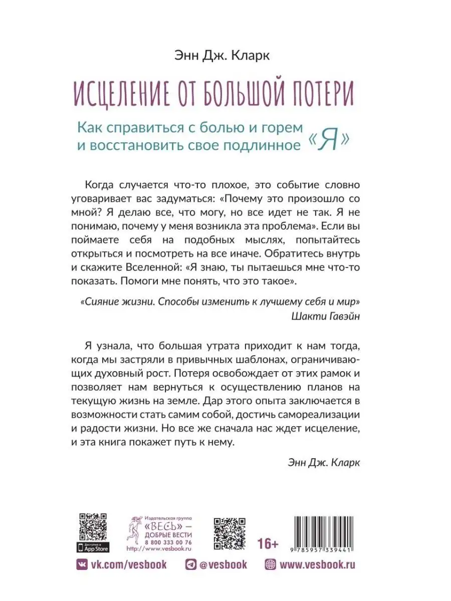 Исцеление от большой потери: как справиться с болью и горем Издательская  группа Весь 115286720 купить за 200 ₽ в интернет-магазине Wildberries