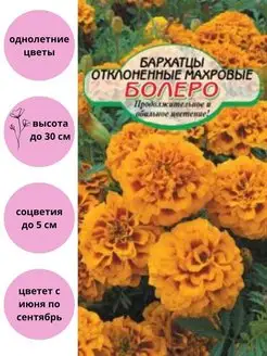 Бархатцы Болеро махровые отклоненные Сибирские сортовые семена 115424713 купить за 130 ₽ в интернет-магазине Wildberries