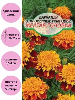 Бархатцы Желтая головка Сибирские сортовые семена 115425099 купить за 105 ₽ в интернет-магазине Wildberries