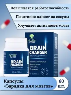 "Зарядка для мозгов" с ежовиком, женьшенем, L-аргинином Русские корни 115432736 купить за 685 ₽ в интернет-магазине Wildberries