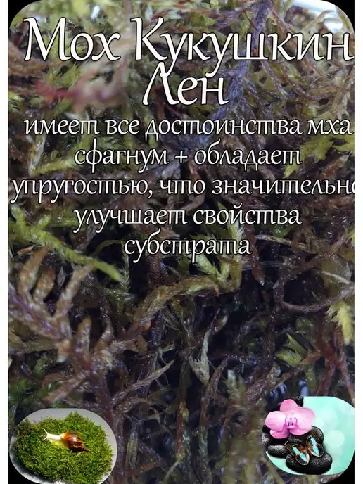 Кукушкин Лен Корм для улиток и черепах 1,25 литра, вариант, фото 2