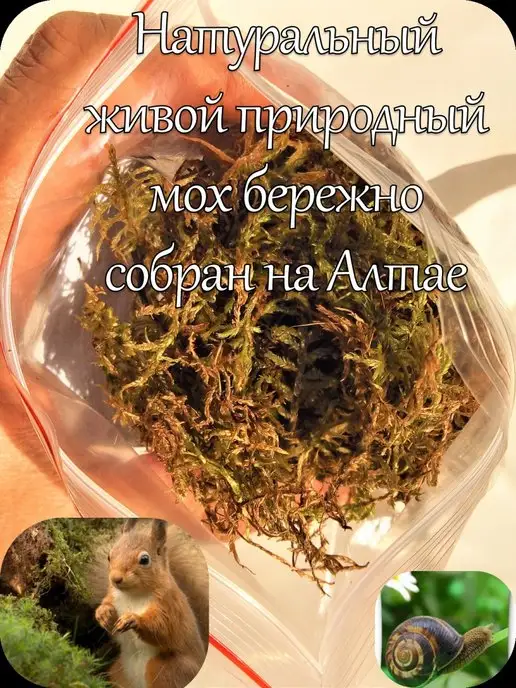 Кукушкин Лен Корм для улиток и черепах 1,25 литра, вариант, фото 3