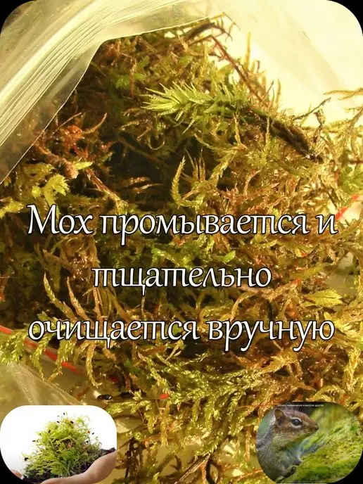 Кукушкин Лен Корм для улиток и черепах 1,25 литра, вариант, фото 4