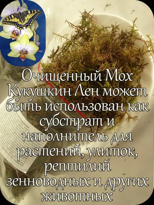 Кукушкин Лен Корм для улиток и черепах 1,25 литра, вариант, фото 5