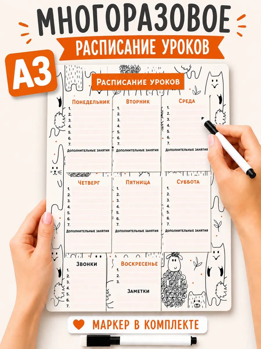 Расписание уроков настенное многоразовое