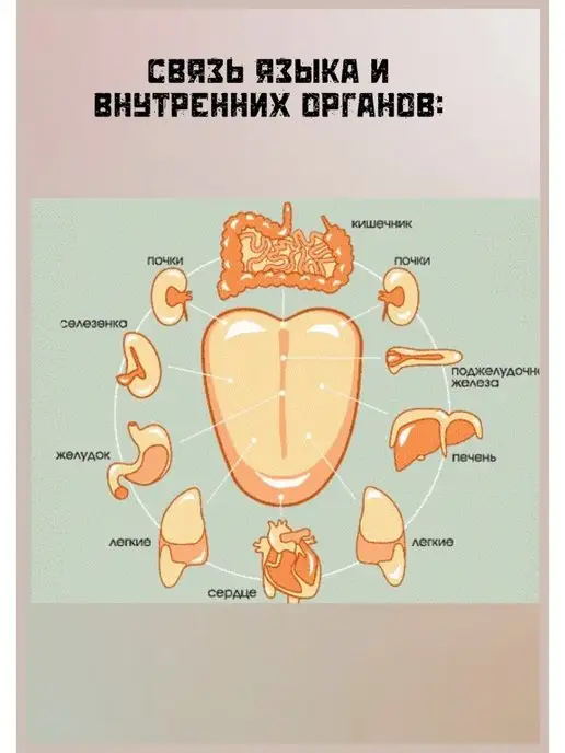 MaGazия Скребок Массажер для чистки языка, красный, фото 6