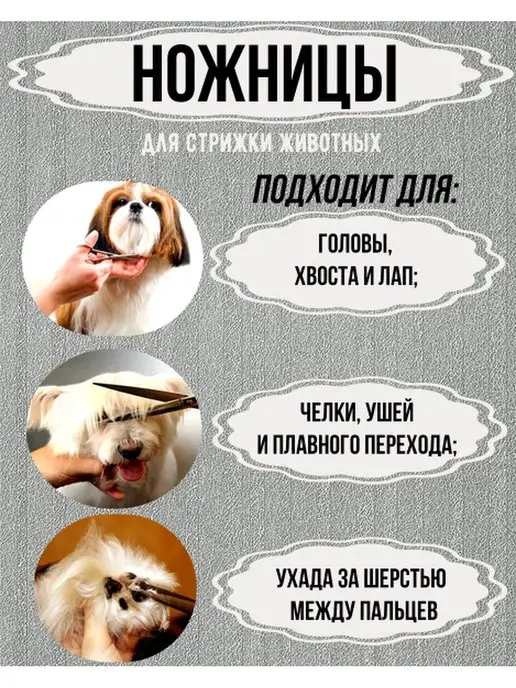 Ножницы для груминга/ для стрижки животных Ножницы для животных, черный, фото 2