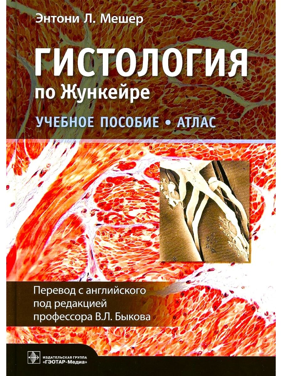 Гистология по Жункейре. Учебное пособие ГЭОТАР-Медиа 116237999 купить за 5  638 ₽ в интернет-магазине Wildberries