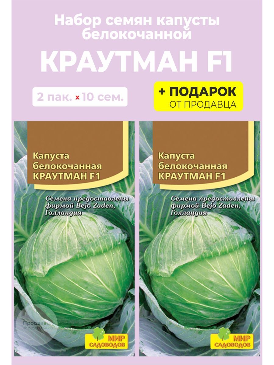 Капуста краутман описание отзывы. Капуста Краутман. Капуста Краутман описание. Краутман капуста фото. Краутман капуста описание отзывы.