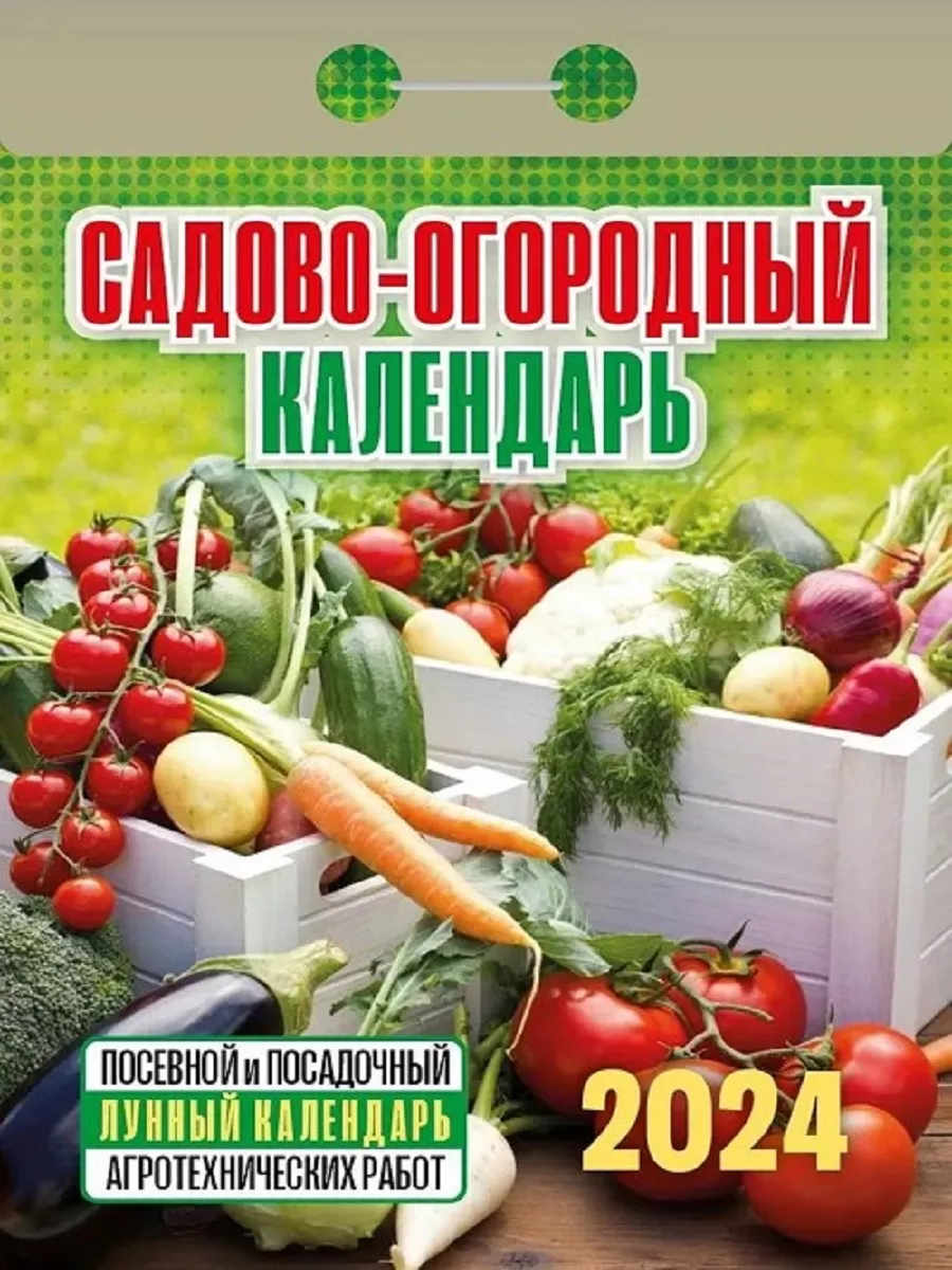 Календарь заготовок на 2024 год Календарь 2024. Садово-огородный Книжный двор 116318622 купить в интернет-магази