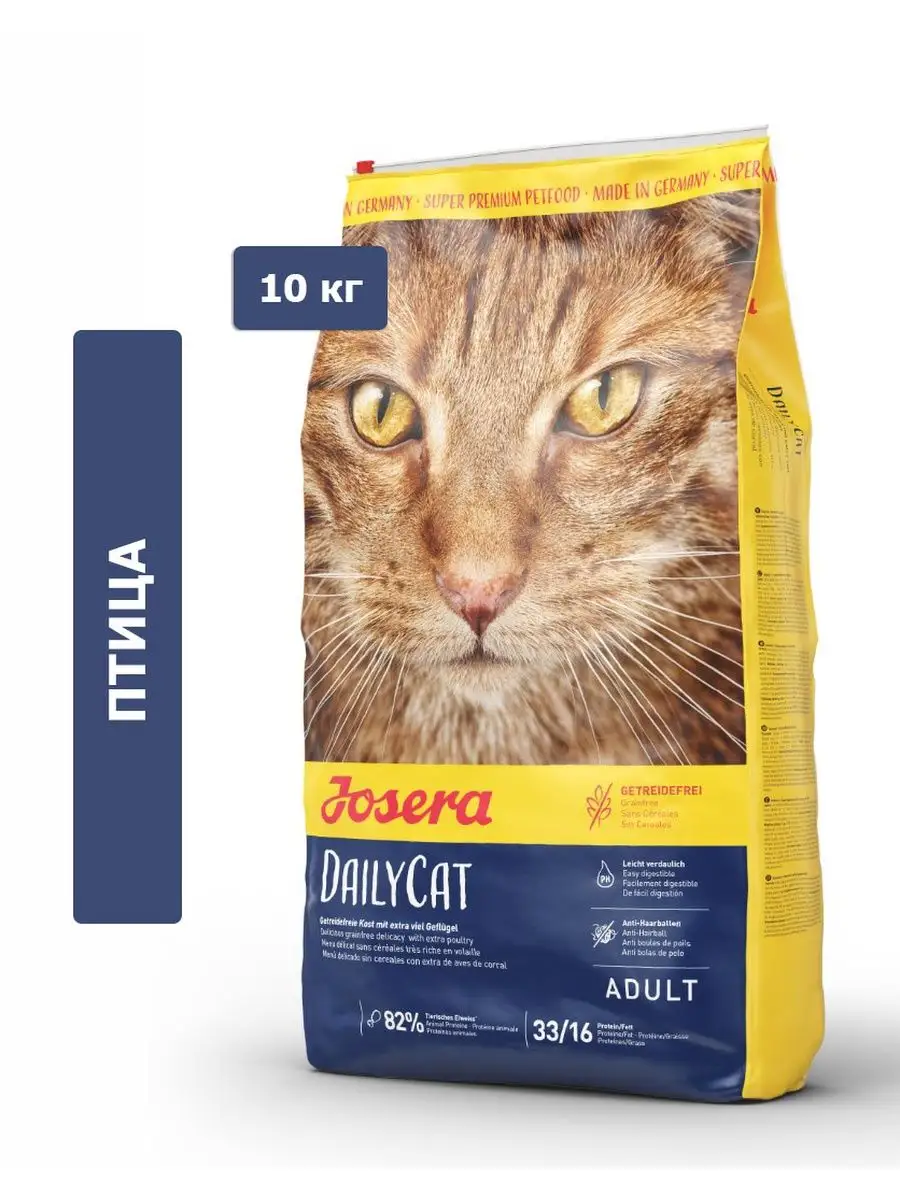 Daily cat корм. Daily cat корм