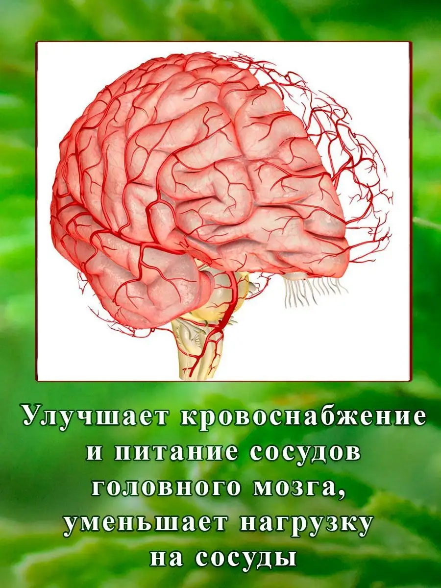 Бальзам После Инсульта/ 200 мл. Древний Лекарь 116473961 купить за 623 ₽ в  интернет-магазине Wildberries