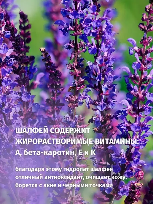 Lyutiki-Cvetochki Гидролат Шалфея, вариант, фото 4