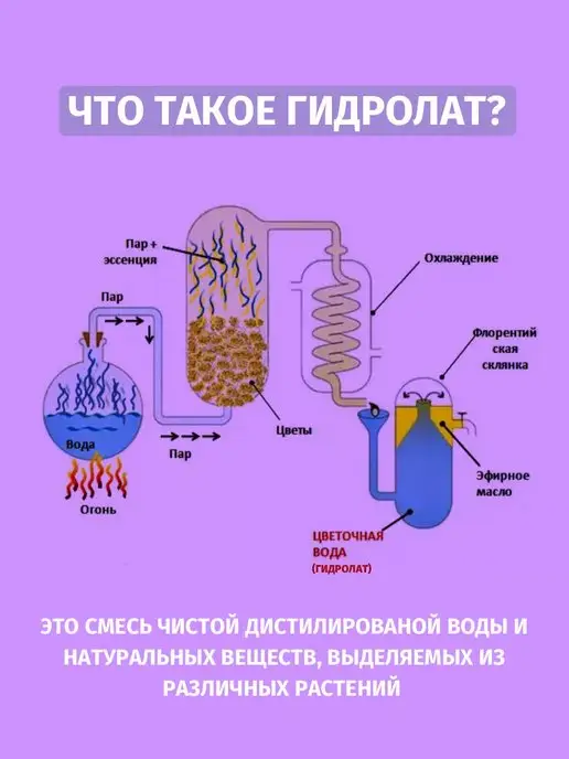 Lyutiki-Cvetochki Гидролат Шалфея, вариант, фото 5