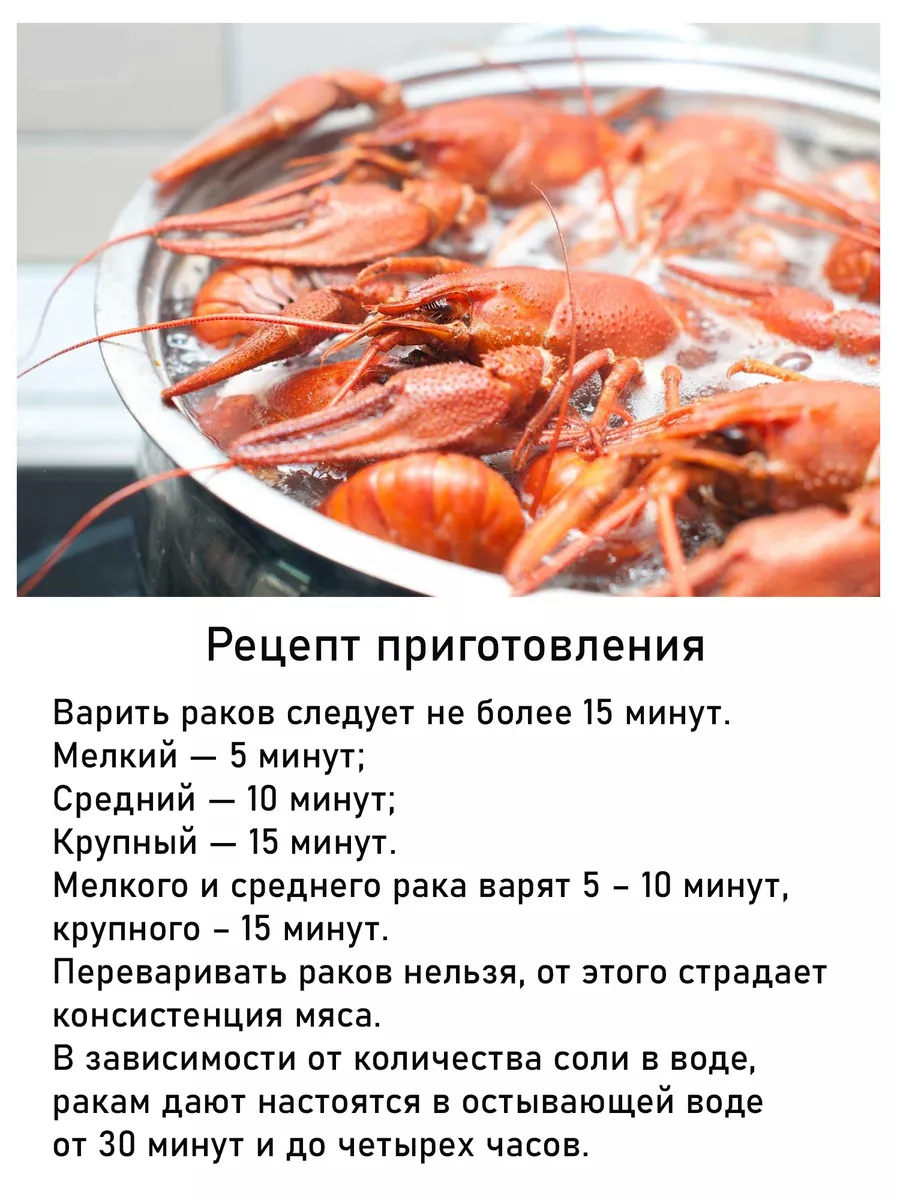 Раколовка гармошка для раков Master Fish Group 116545391 купить за 719 ₽ в  интернет-магазине Wildberries