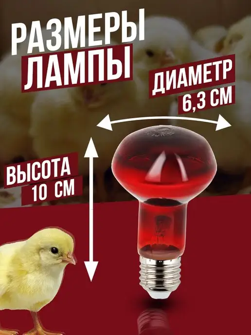 wikiLAB Инфракрасная лампа для курятника, для обогрева брудера, вариант, фото 2
